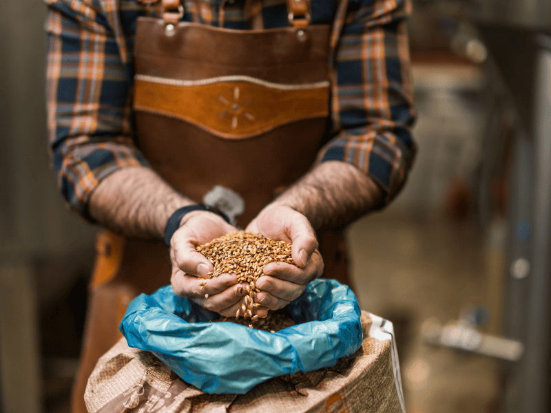 1. Granos de trigo frescos en manos de un artesano en Caminando con Nando.