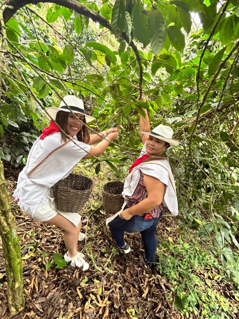 Recorrido por los Cafetales de Mdellón- Caminando con Nando