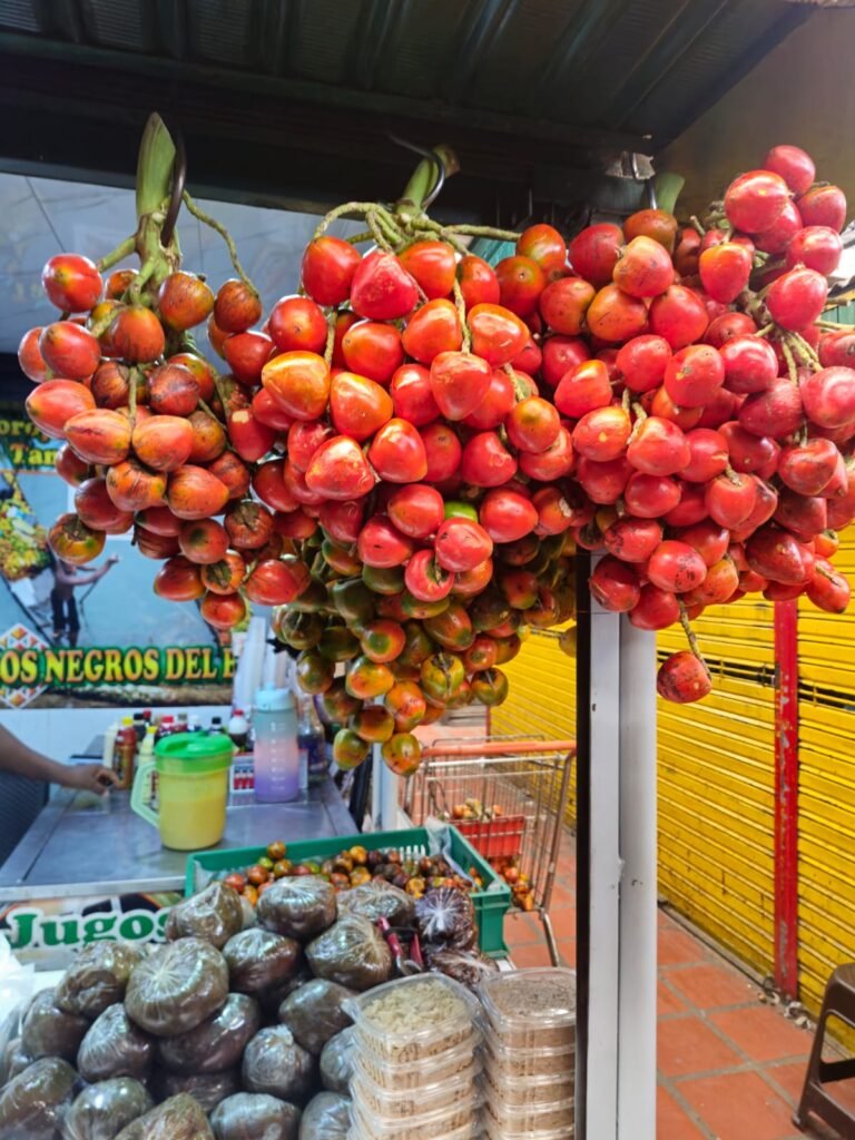 tour gastronómico en medellín