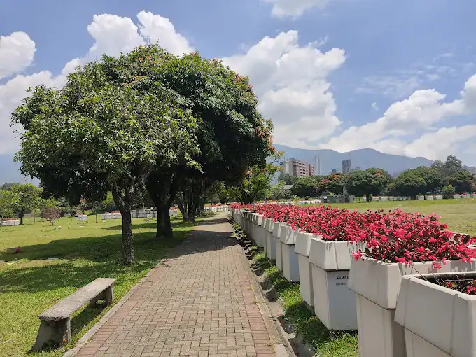 1. Árboles y flores en parque, camino de senderismo en clima soleado.